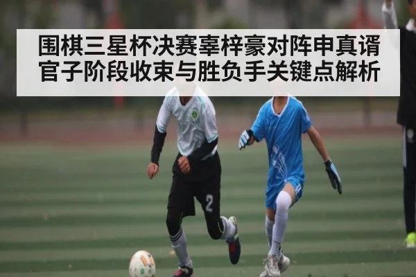 围棋三星杯决赛辜梓豪对阵申真谞官子阶段收束与胜负手关键点解析