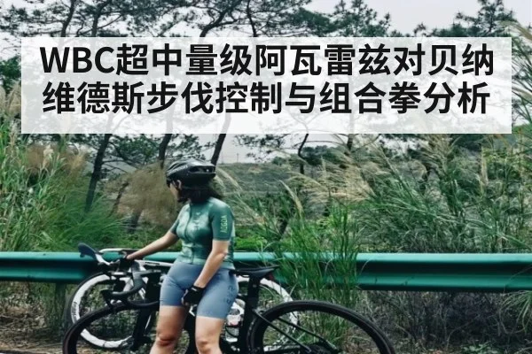 WBC超中量级阿瓦雷兹对贝纳维德斯步伐控制与组合拳分析